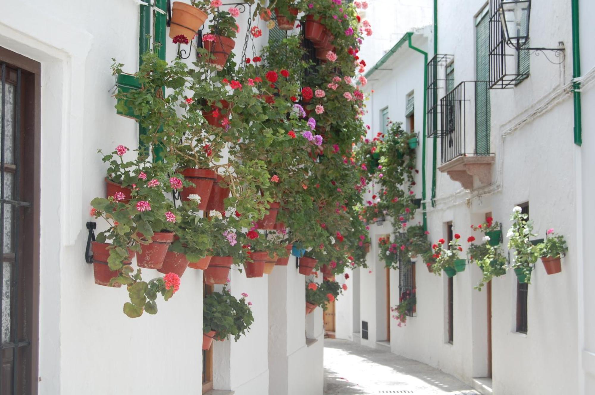 Casa Banos De La Villa Priego de Córdoba Exterior foto